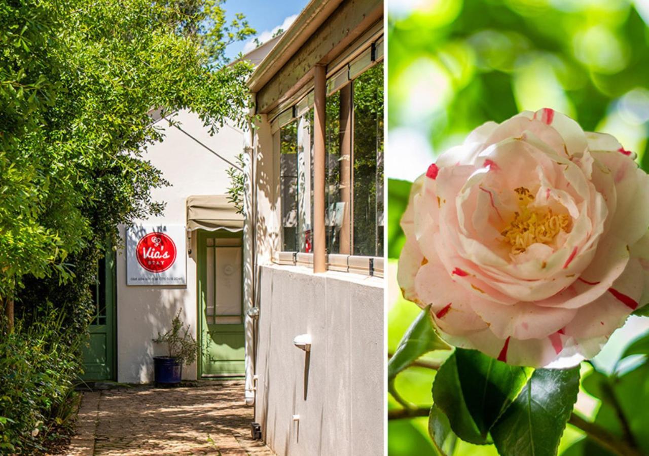 Via'S Guesthouse Greyton Eksteriør bilde